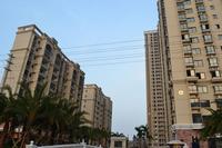 锦绣湾花园实景图2012-11-7