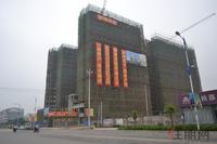 徳臣·金海花园实景图2012-6-28