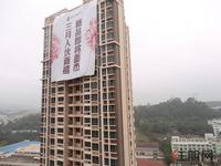 3.17振业·青秀山1号实景图