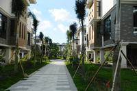 嘉园·千佰渡实景图2012-7-23