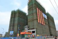 徳臣·金海花园实景图2012-6-28