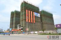 徳臣·金海花园实景图2012-6-28