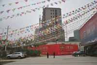 凤岭·名筑实景图(11.29)