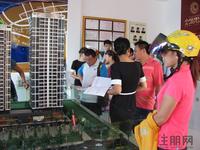 金领阳光活动图片2012-7-21