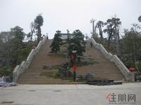 2.22凤岭名园园林实景图