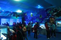 2012.12.01保利·爱琴海大型海洋生物展现场