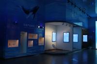 2012.11.28保利·爱琴海实景图