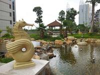 领海天域实景图2012-12-28