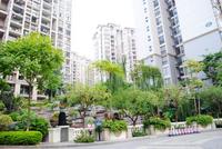 人和·莱茵湖畔实景图(9.19)