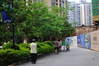 人和·莱茵湖畔实景图(9.19)