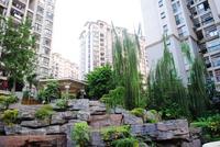 人和·莱茵湖畔实景图(9.19)