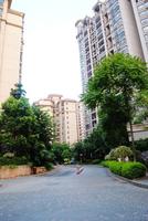 人和·莱茵湖畔实景图(9.19)