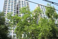 春天海景实景图2012-9-24