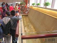 售楼部内小水池