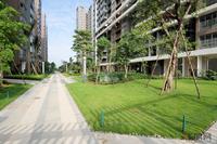 汇东星城一期园林实景