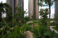 汇东星城一期园林实景
