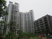同人·学府大道实景图(6.2)