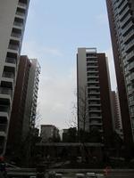 九龙新城3.19实景