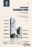 九洲国际广告欣赏