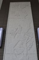 南地·海江南实景图2012-12-31