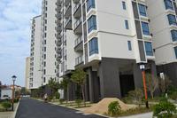 南地·海江南实景图2012-12-31