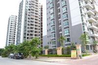 鑫丰丽景实景图2012-12-31