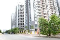 鑫丰丽景实景图2012-12-31