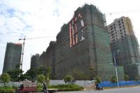 徳臣·金海花园实景图2012-12-31