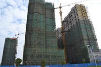 徳臣·金海花园实景图2012-12-31