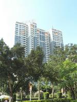 俊杰华府实景图2012-12-31 