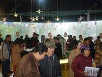2012.12.29骋望领尚颂开盘现场