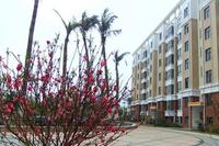 一品湾实景图2012-12-31