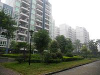 2012.12.28桃花源·香域中央E组团园林实景图