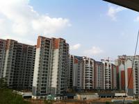 东方华府实景图(9.23)