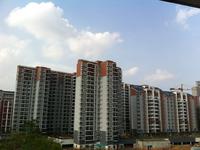 东方华府实景图(9.23)