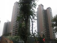 汇东星城实景图(2.24)