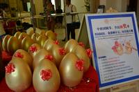 嘉鹏·海韵居全民抽奖季