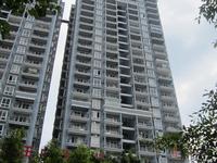 2012.9.5丰宝·王府井商厦实景图