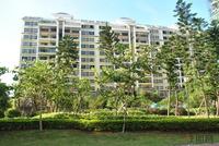 远辰·金湾蓝岸8月实景图