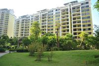 远辰·金湾蓝岸8月实景图