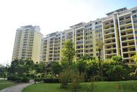 远辰·金湾蓝岸8月实景图