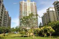 远辰·金湾蓝岸8月实景图