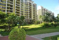 远辰·金湾蓝岸8月实景图