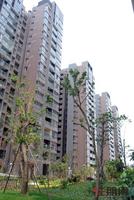 5.10汇东星城园林实景图