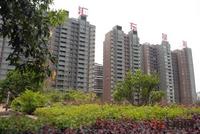 5.10汇东星城园林实景图