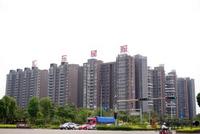 5.10汇东星城园林实景图