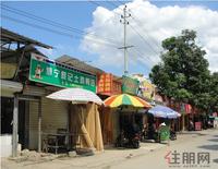 同标·雅里人家实景图（5.9）