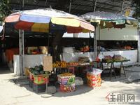 同标·雅里人家实景图（5.9）