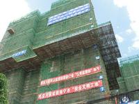 同标·雅里人家实景图（5.9）