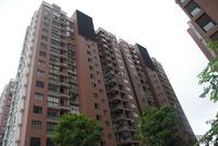 融晟·公园大地实景图(7.26)